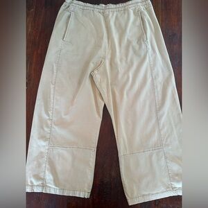 Women’s Pilcro Izzie  (Anthropologie) light green kahki barrel pants